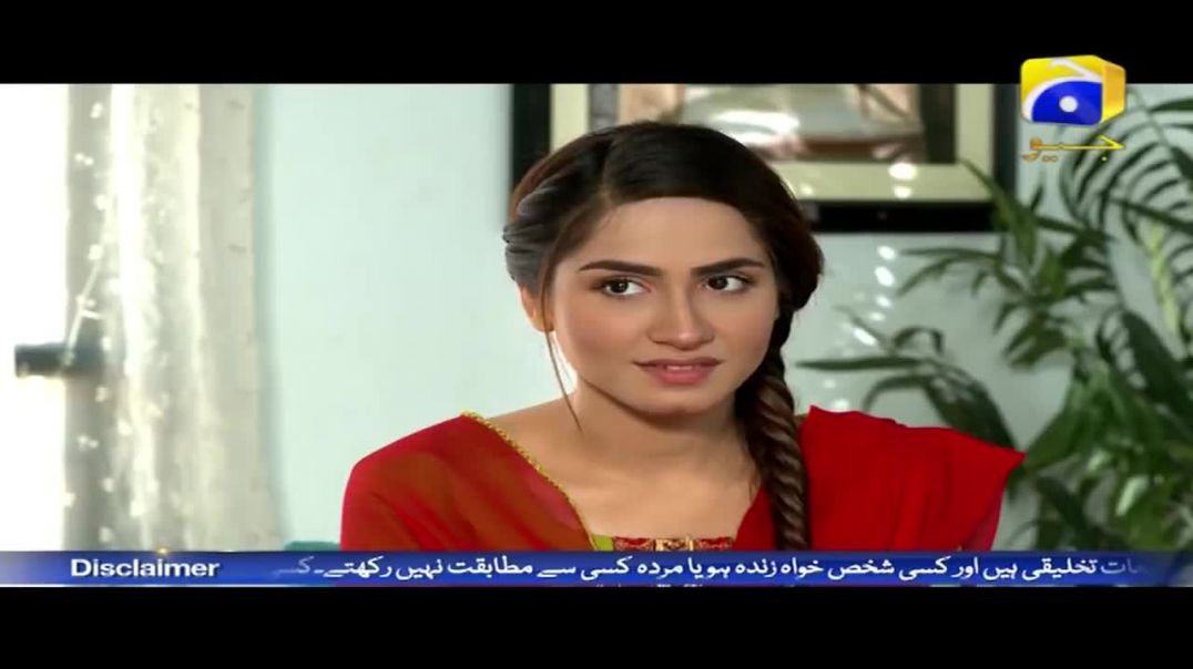 Mera Ghar Aur Ghardari - Episode 16 - HAR PAL GEO Nov 29