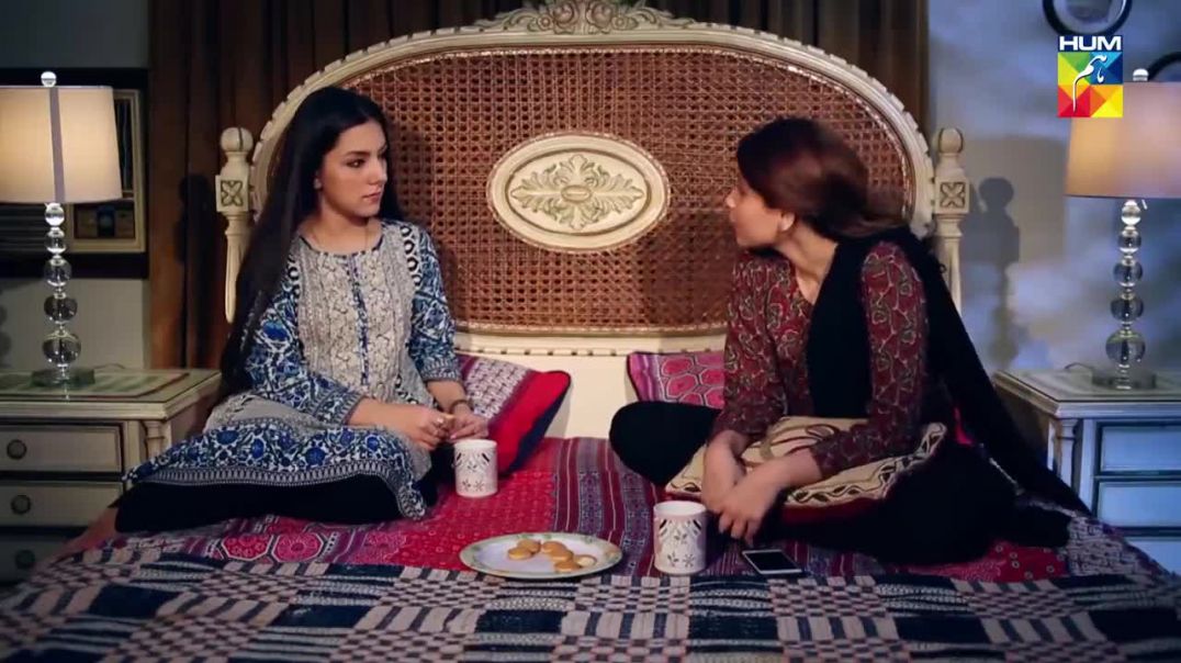 Dil e Jaanam Episode 4 HUM TV drama