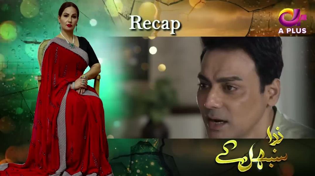 Zara Sambhal Kay - Episode 29 - Aplus Drama