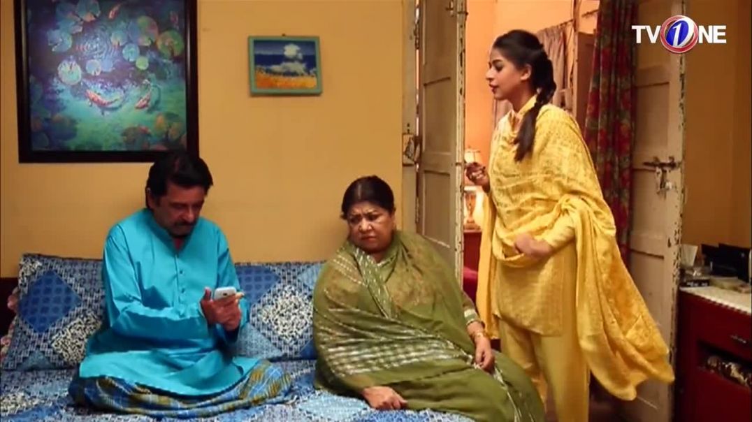 Love In Gulshan e Bihar - Episode 86 - TV One Drama