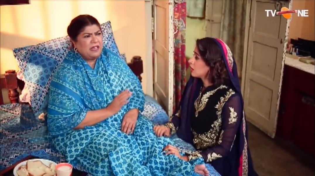 Love In Gulshan e Bihar - Episode 88 - TV One Drama