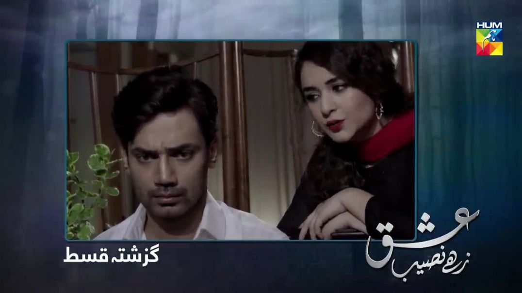 Ishq Zahe Naseeb Last Episode HUM TV Drama 17 Jan 2020