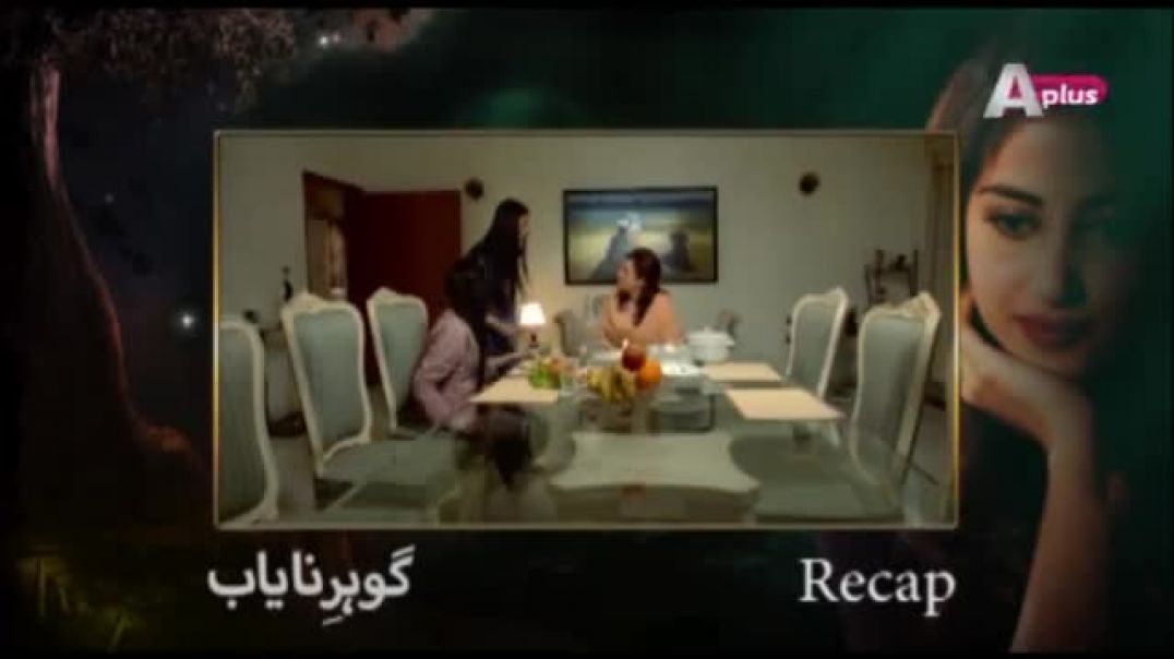 Gohar e Nayab - Episode 19  A Plus drama