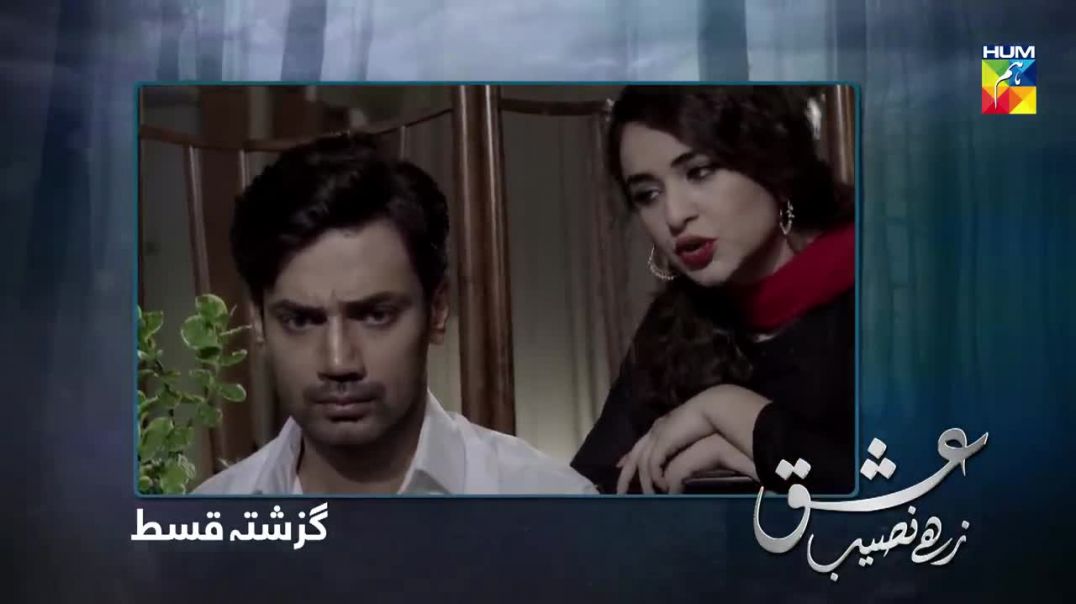 Ishq Zahe Naseeb Episode 29 HUM TV Drama 10 Jan 2020