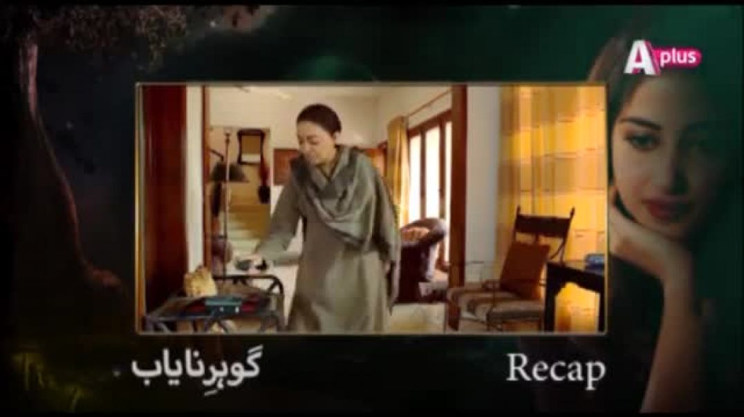 Gohar e Nayab - Episode 17  A Plus drama