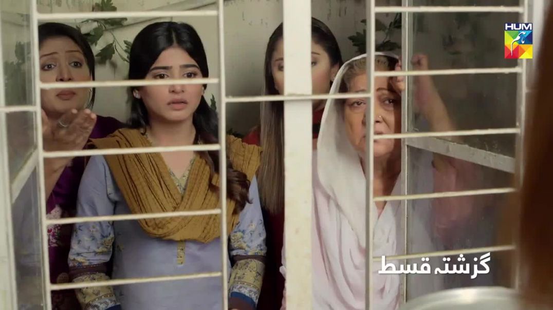 Wafa Kar Chalay Episode 12 HUM TV Drama 9 Jan 2020