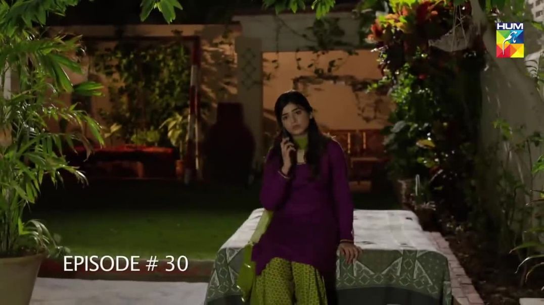 Wafa Kar Chalay Episode 30 HUM TV Drama 4 Feb 2020
