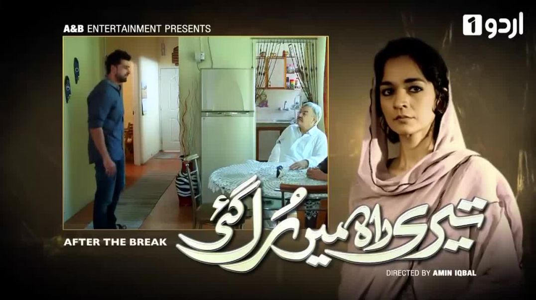 Teri Rah Mein Rul Gayi  Ep-12 - Urdu1 TV drama