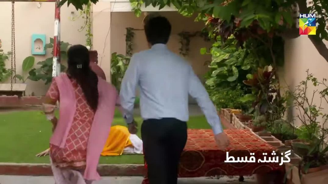 Wafa Kar Chalay  Episode 29 HUM TV Dramas