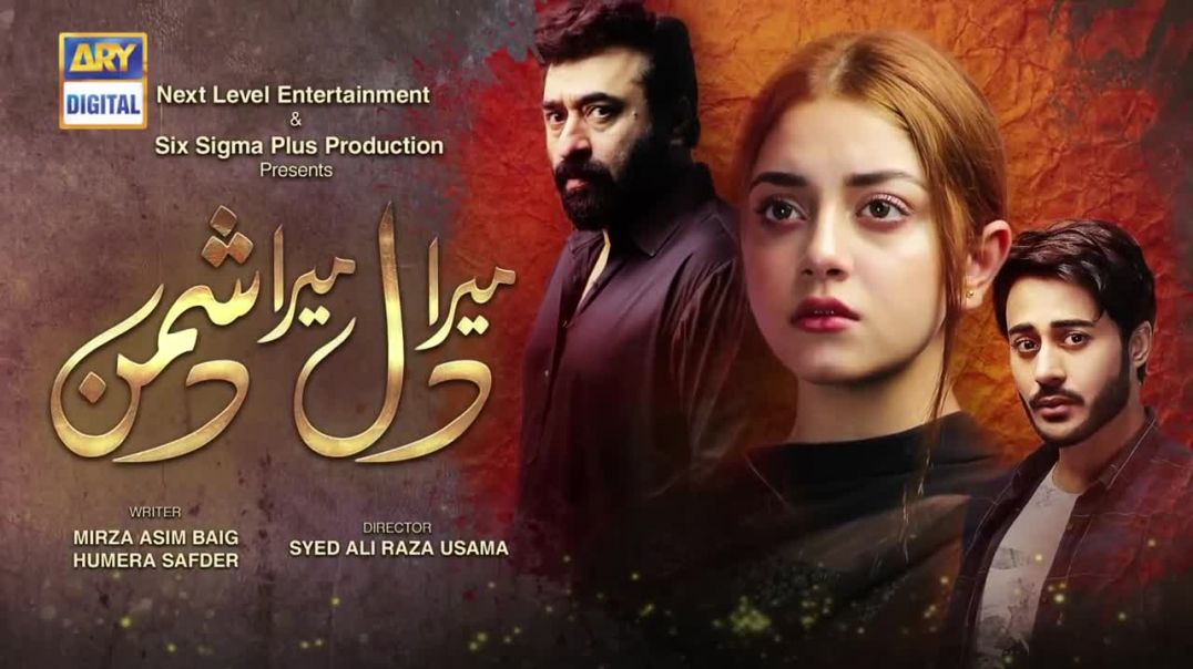 Mera Dil Mera Dushman Episode 25 - 25 Mar 2020 ARY Digital Drama