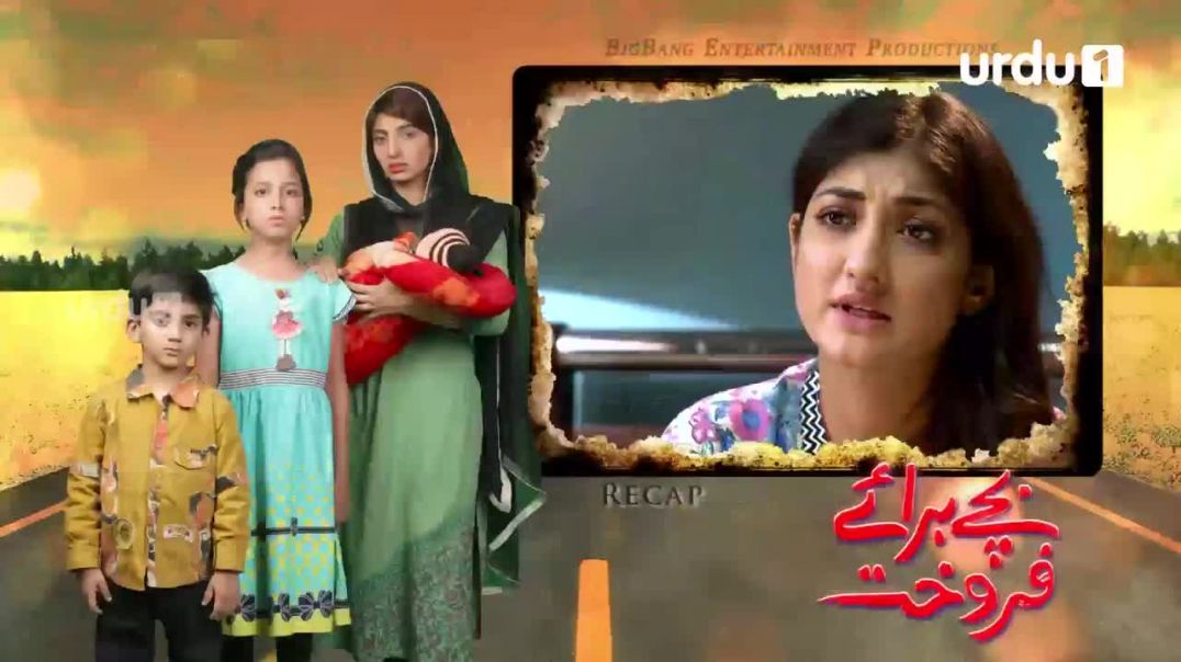 Bachay Baray e Farokht - Episode 58 Urdu 1 Dramas