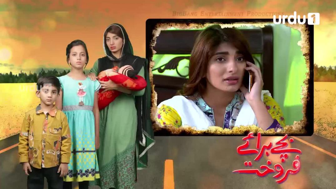 Bachay Baray e Farokht - Episode 72 Urdu 1 Dramas
