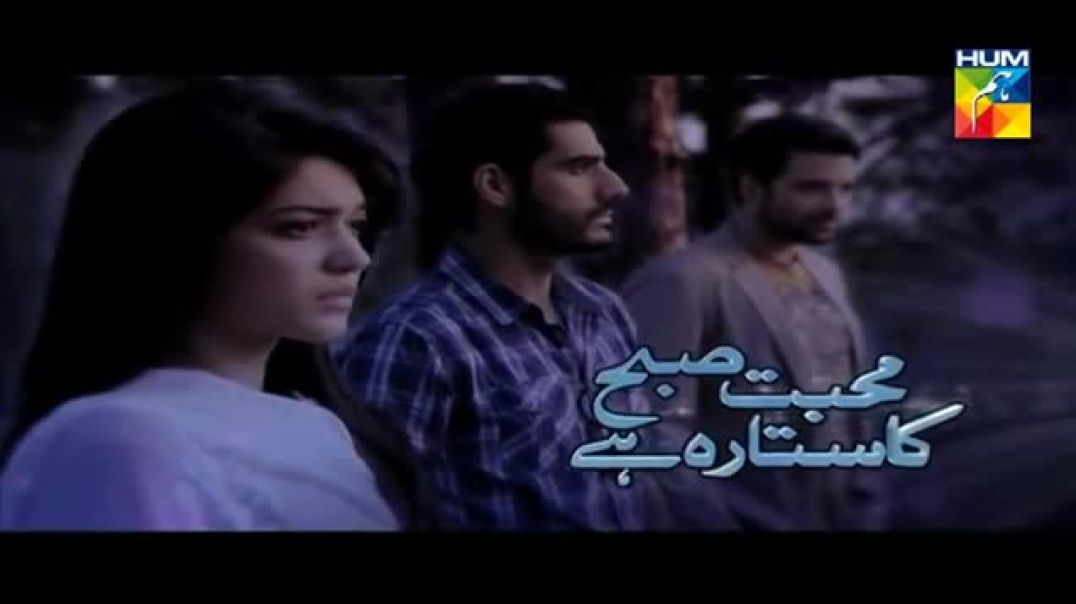 Muhabbat Subh Ka Sitara Hai Episode 8 drama