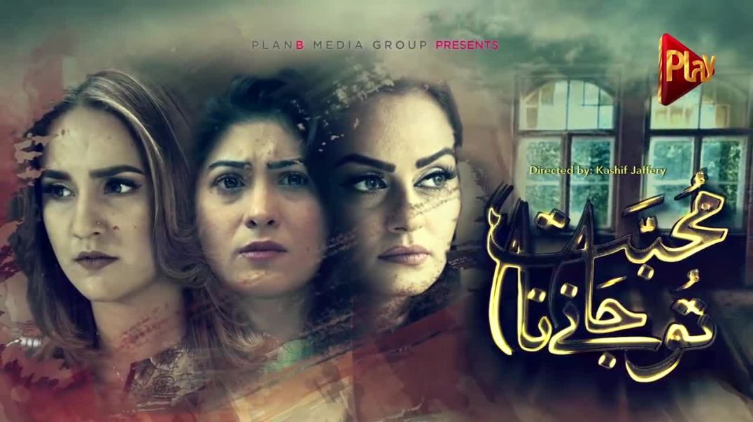 Mohabbat Tu Jane Na - Episode 2 Play Tv Drama