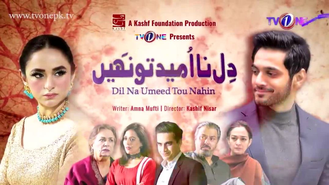 Dil Na Umeed Toh Nahi Episode 13 TV One drama