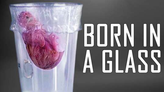 WAS BORN IN A GLASS!