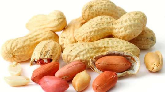 Peanut Agriculture Process,  Peanut Harvesting, peanut cultivation processing, How to farming peanut