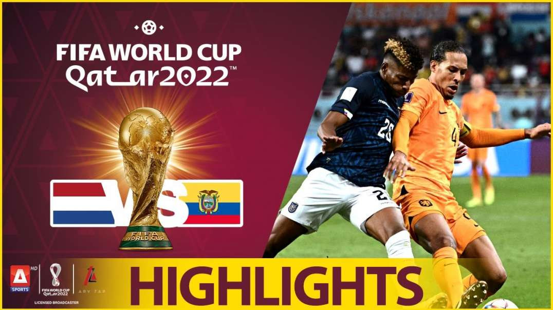 19th Match Highlights Netherlands vs Ecuador FIFA World Cup Qatar 2022