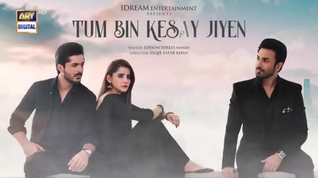 Tum Bin Kesay Jiyen 2nd Episode Last ARY Digital